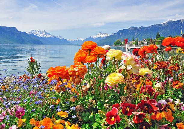 Analisis USD/CHF Menguat di tengah meredanya ketegangan perdagangan AS-Tiongkok - Data Pasar 2025-10-21